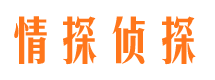 景谷找人公司